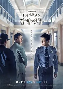 白塔市集 生活喜剧热播电视剧全集